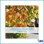 LZH-Tinnitus-Selbsthilfegruppe LZH-Tinnitus-Selbsthilfegruppe