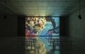 Foto: © Timo Ohler Foto: © Timo Ohler